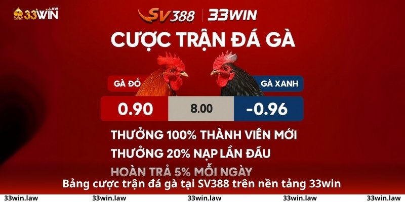Bảng cược trận đá gà tại SV388 trên nền tảng 33win - hiển thị đầy đủ tỷ lệ cược, lựa chọn gà xanh/đỏ, cùng các khuyến mãi dành riêng cho cược thủ.