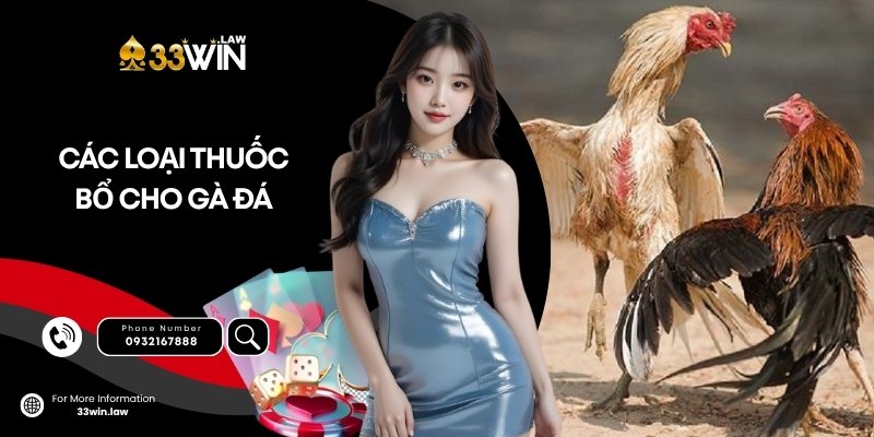 Top các loại thuốc bổ cho gà đá được dân chuyên dùng