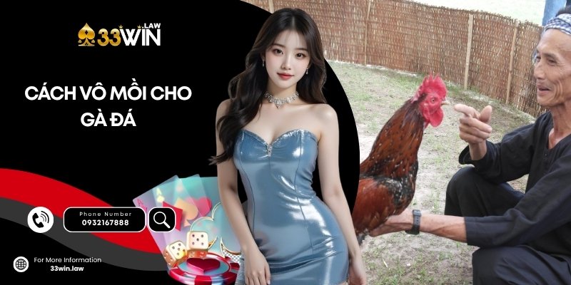 Cách vô mồi cho gà đá chuẩn trường gà - đá là thắng