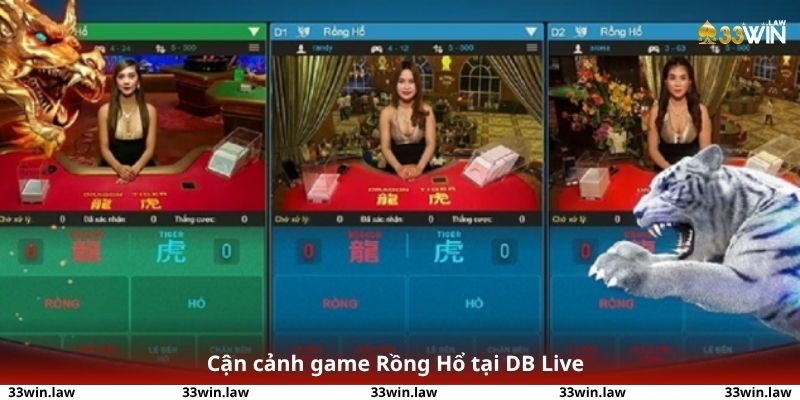 Góc máy cận cảnh game Rồng Hổ tại DB Live – ván bài đang đến hồi kết.
