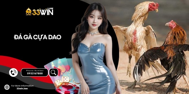 Đá gà Cựa Dao: Môn thể thao sát phạt của dân chuyên