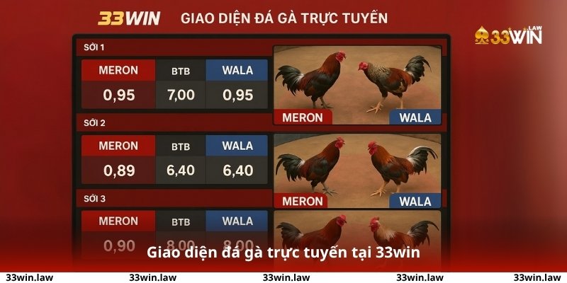 Xem đá gà có bị phạt không: đá gà trực tuyến tại 33win